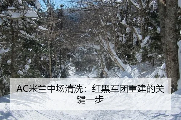 AC米兰中场清洗：红黑军团重建的关键一步